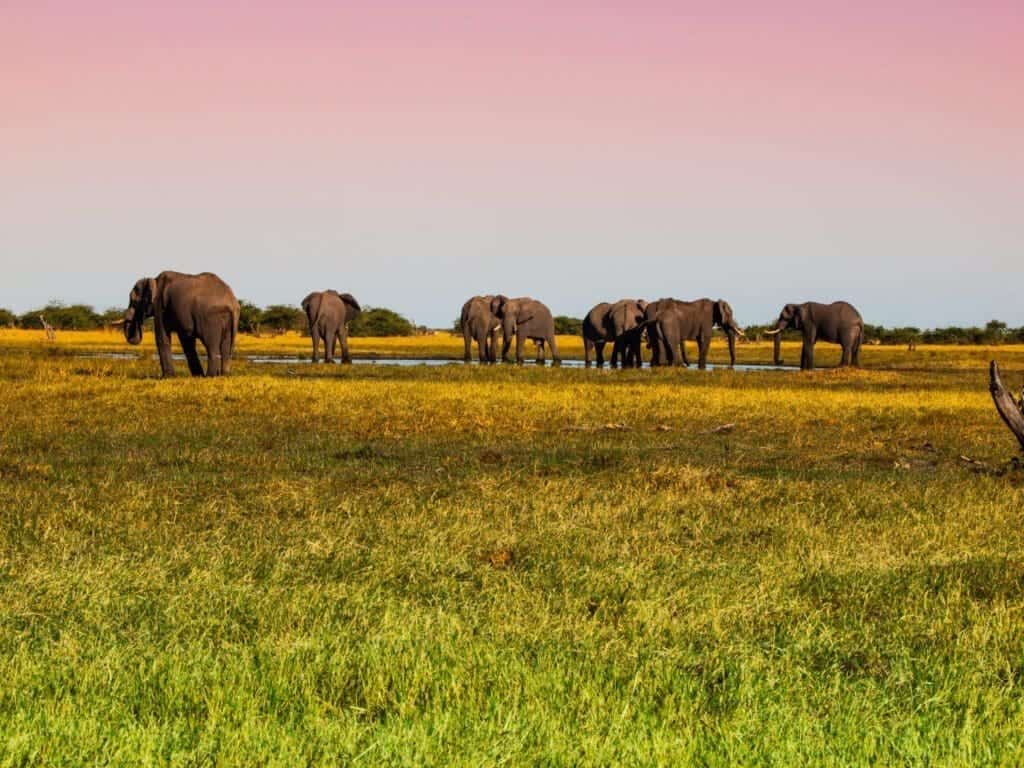 Things to do in grassland national park