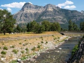 campgrounds near waterton lakes national park